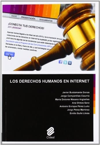 Cover image for Los derechos humanos en internet
