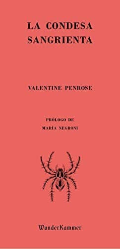 Cover image for La condesa sangrienta