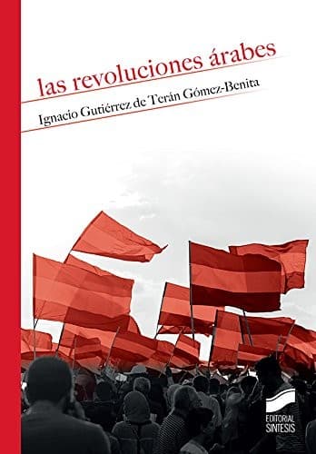 Cover image for Las revoluciones árabes