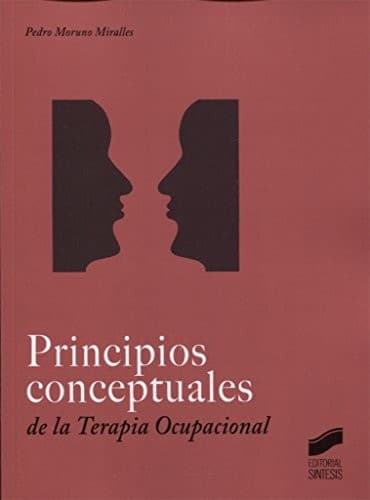 Cover image for Principios conceptuales en Terapia Ocupacional