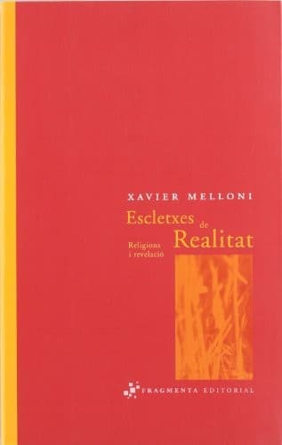Cover image for Escletxes de Realitat