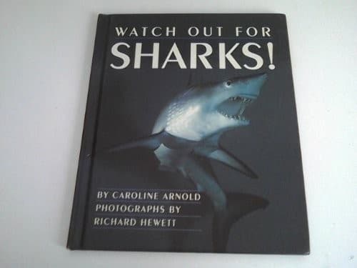 Cover image for Watch out for sharks!