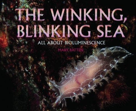 Cover image for The winking, blinking sea