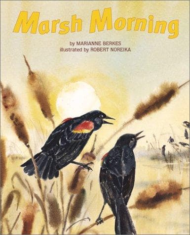 Cover image for Marsh Morning