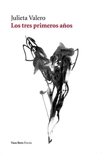 Cover image for Los tres primeros años