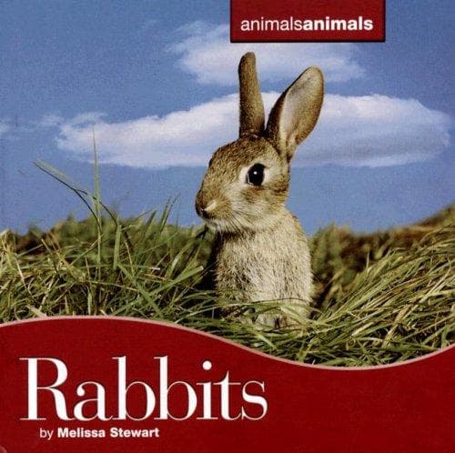 Cover image for Rabbits (Animals Animals)