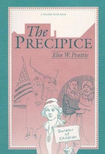 Cover image for The precipice