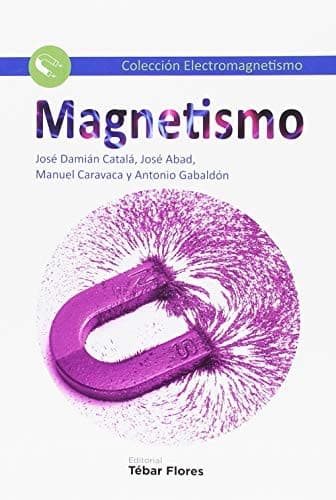 Cover image for MAGNETISMO