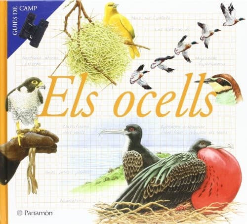 Cover image for ELS OCELLS