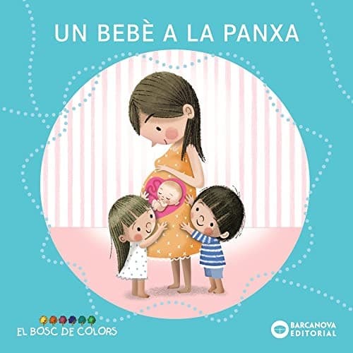 Cover image for Un bebè a la panxa