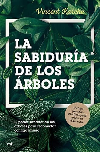 Cover image for La sabiduría de los árboles