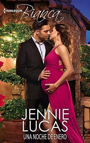 Cover image for Una noche de enero