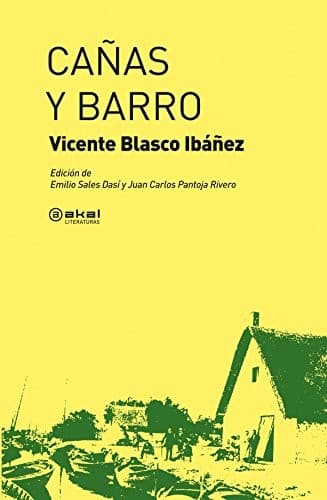 Cover image for Cañas y barro
