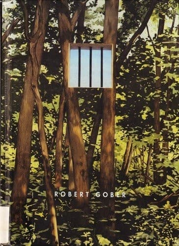 Cover image for Robert Gober