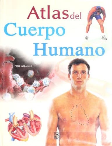 Cover image for Atlas Del Cuerpo Humano
