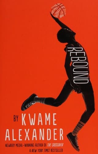 Cover image for Rebound