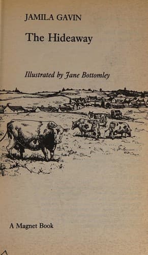 Cover image for The hideaway.