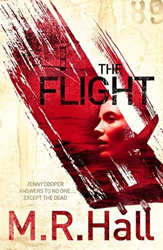 Cover image for The flight