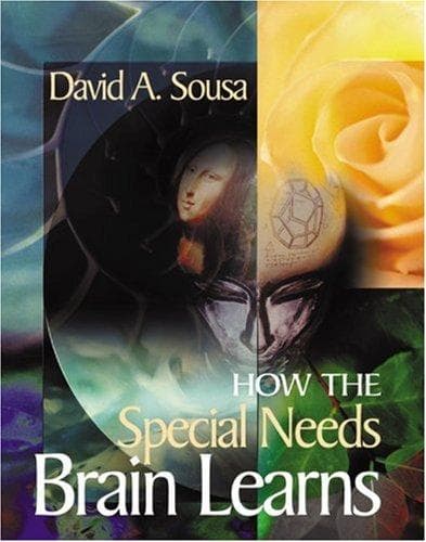 Cover image for How the Special Needs Brain Learns