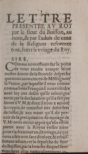 Lettre presentee au roy par le sieur du Buisson