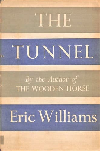 Cover image for The Tunnel