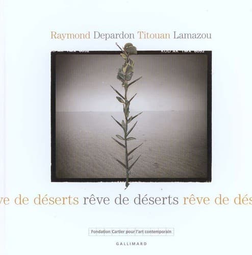 Cover image for Rêve de déserts