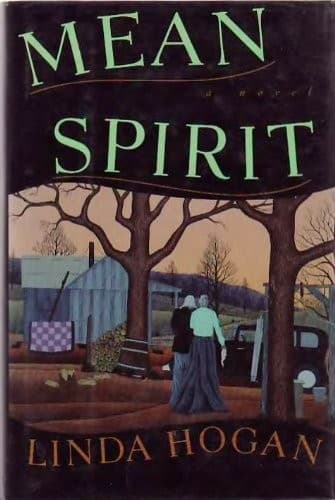 Cover image for Mean spirit