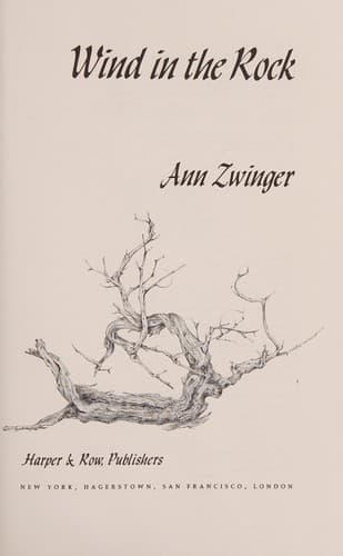 Cover image for Wind in the rock