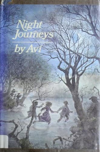 Cover image for Night journeys