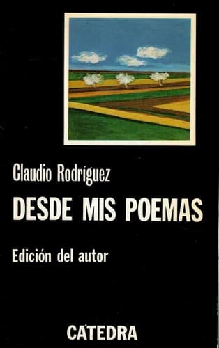 Cover image for Desde mis poemas