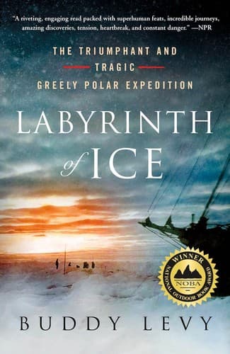 Cover image for Labyrinth of Ice