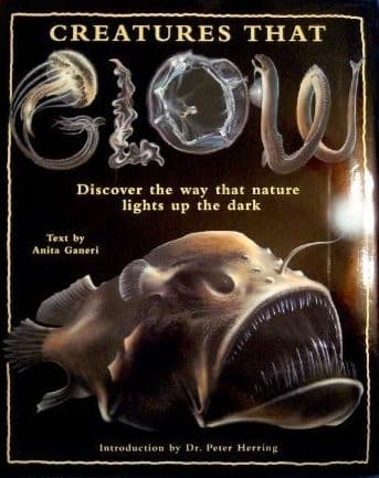 Cover image for Creatures that glow