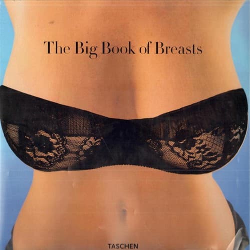 Cover image for The Big Book of Breasts