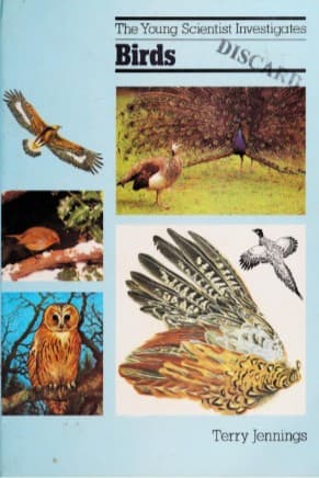 Cover image for Birds