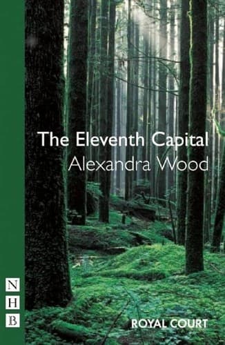 Cover image for The eleventh capital