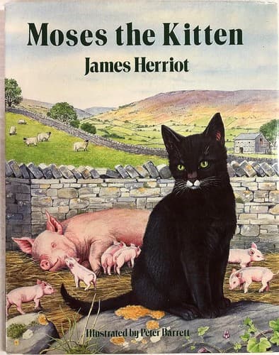 Cover image for Moses the kitten