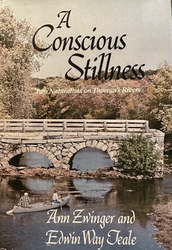 Cover image for A conscious stillness