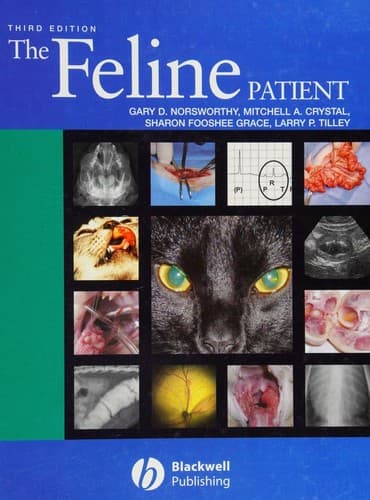 Cover image for The feline patient
