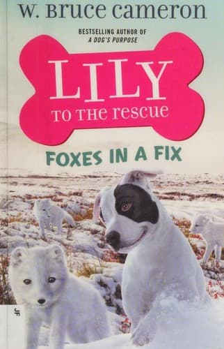 Cover image for Lily to the Rescue