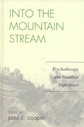 Cover image for Into the Mountain Stream