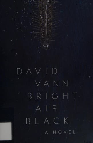 Cover image for Bright air black