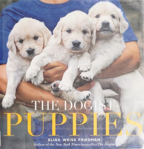 Cover image for The Dogist Puppies