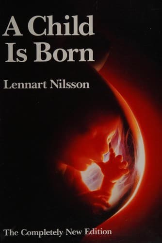 Cover image for A Child Is Born (Special Edition)