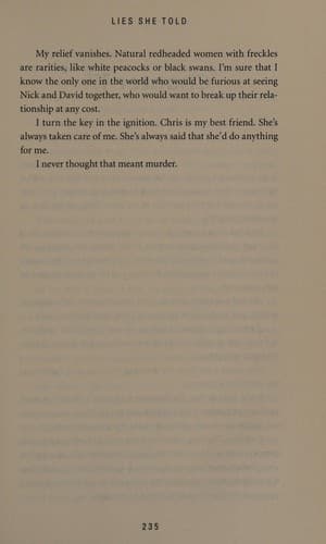 Cover image for Lies she told