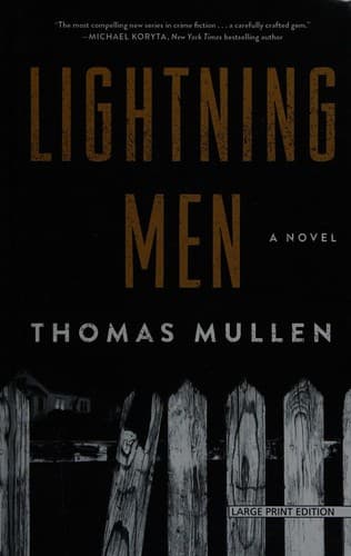 Cover image for Lightning men