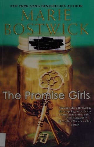Cover image for The promise girls