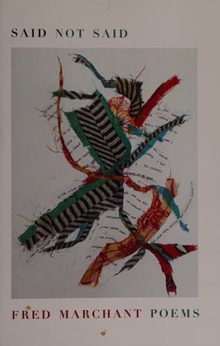 Cover image for Said not said