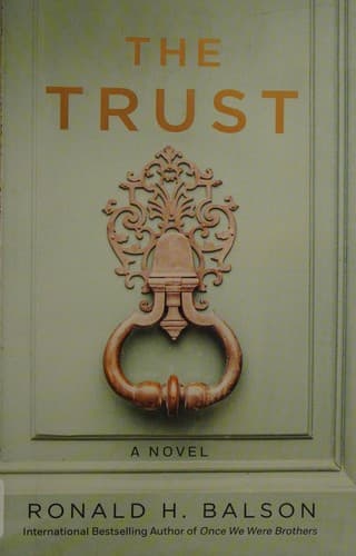 Cover image for The trust