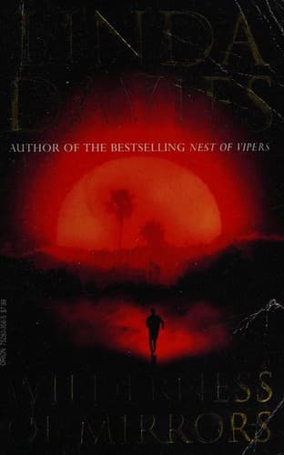 Cover image for Wilderness of mirrors