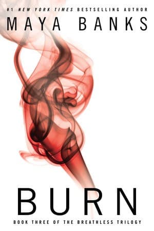 Cover image for Burn